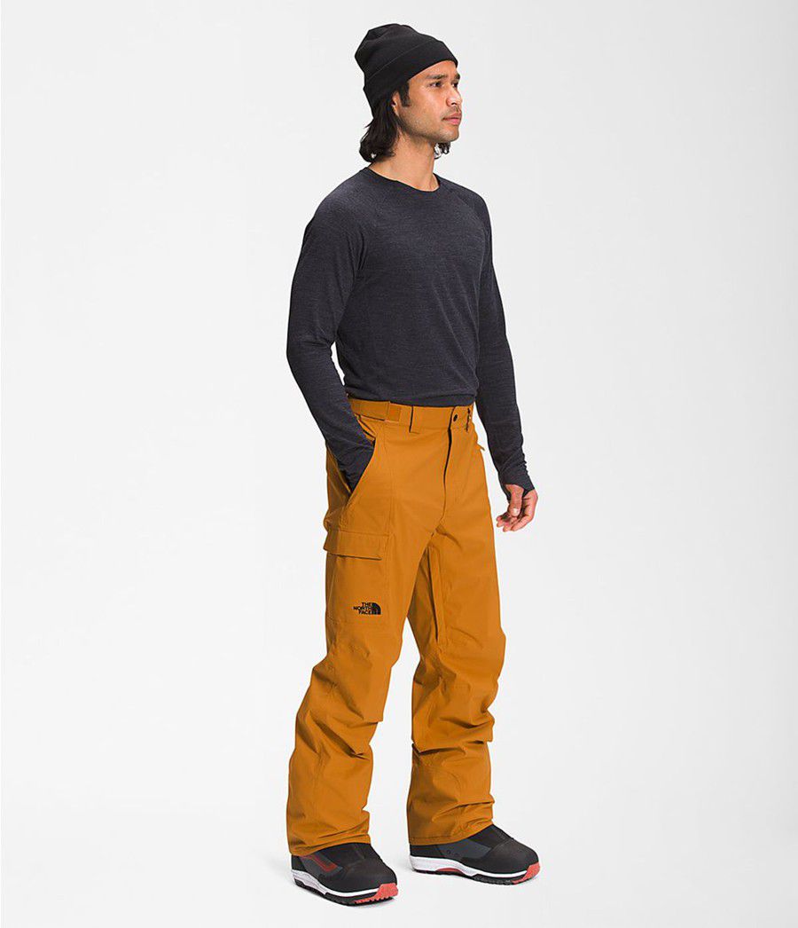 Pánské Kalhoty The North Face Freedom Žluté | HOUYCPE-86