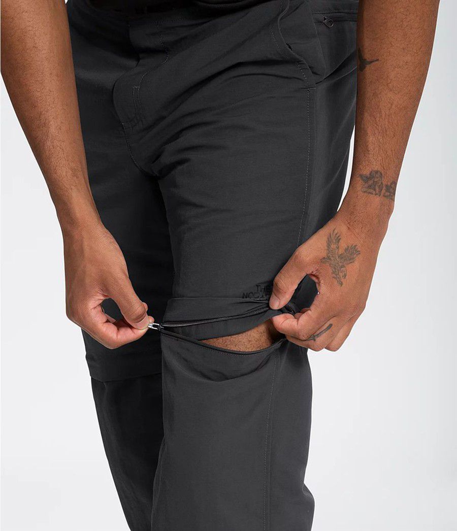 Pánské Kalhoty The North Face Paramount Trail Convertible Šedé | TRXZCAG-38