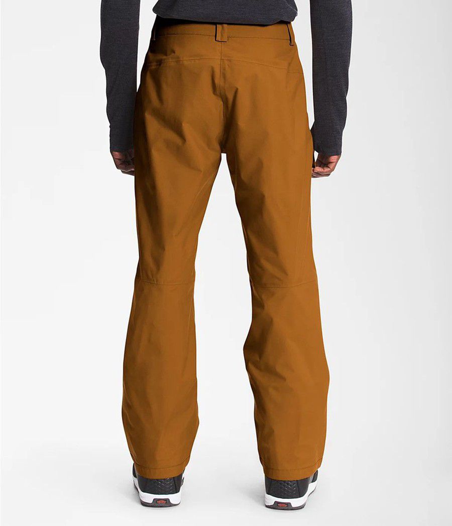 Pánské Kalhoty The North Face Seymore Hnědé | ESUVNKC-60