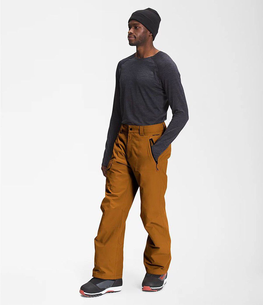 Pánské Kalhoty The North Face Seymore Hnědé | ESUVNKC-60