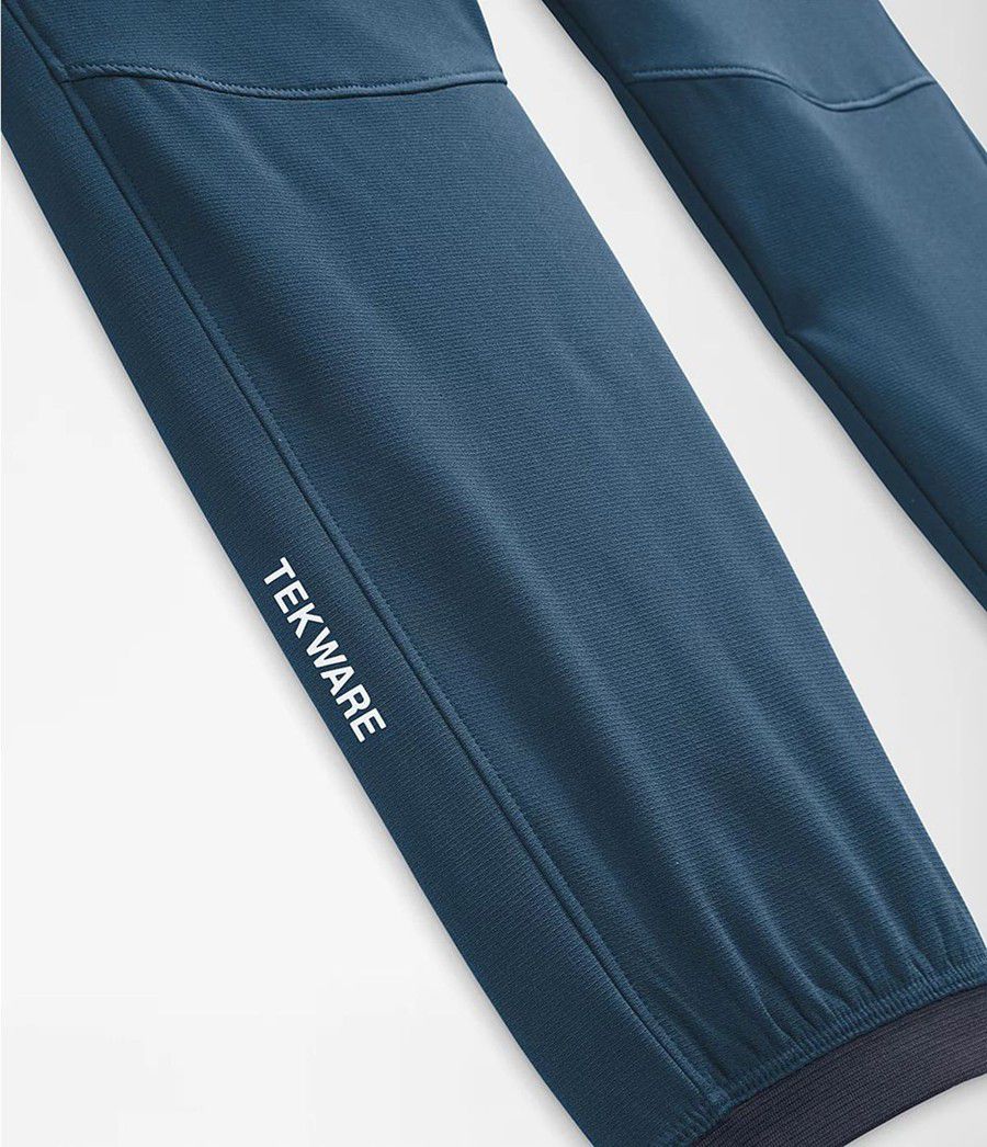 Pánské Kalhoty The North Face Tekware® Fleece Blankyt | ECFMLYI-06