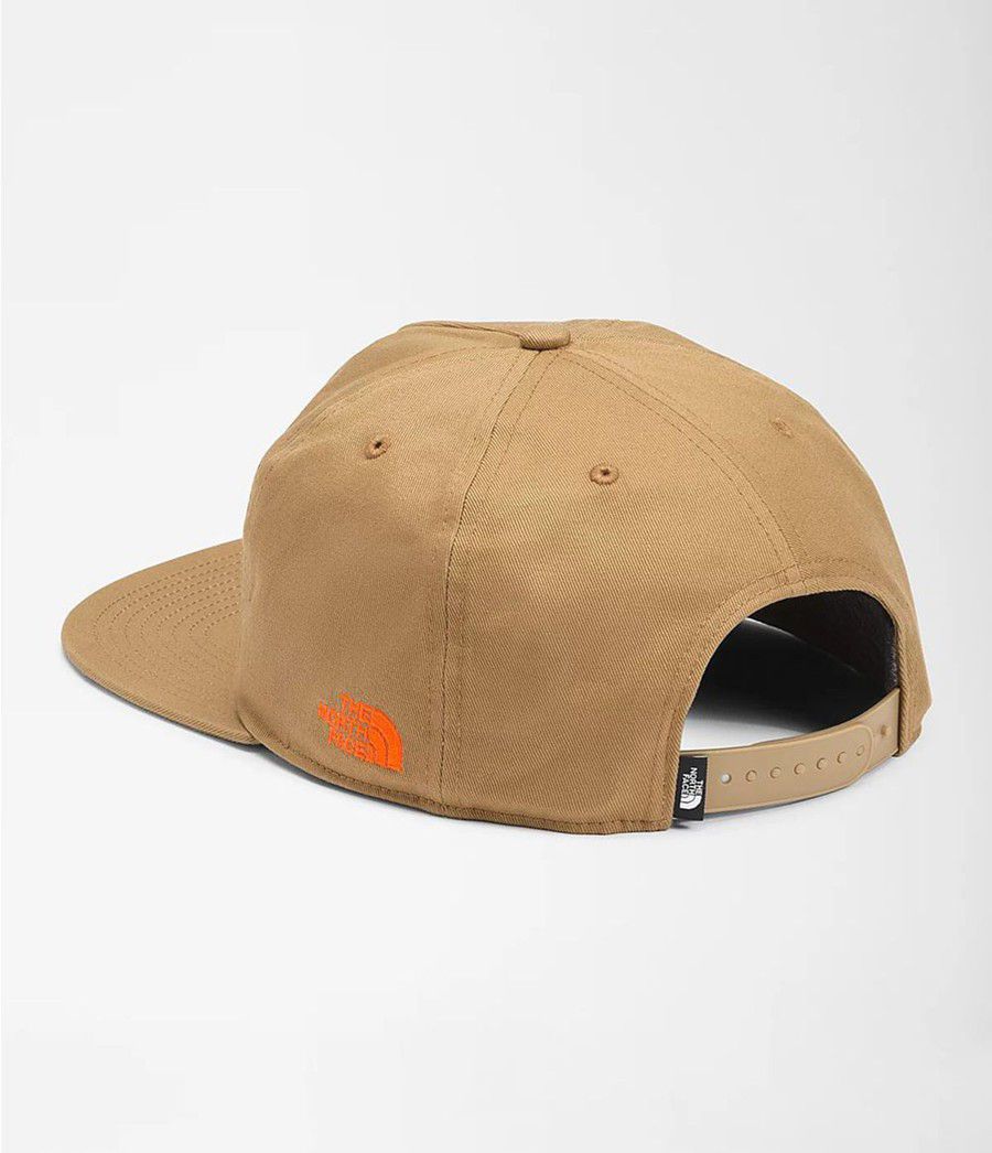 Pánské Klobouky The North Face Embroidered Earthscape Ball Cap Hnědé | NURMSWQ-95