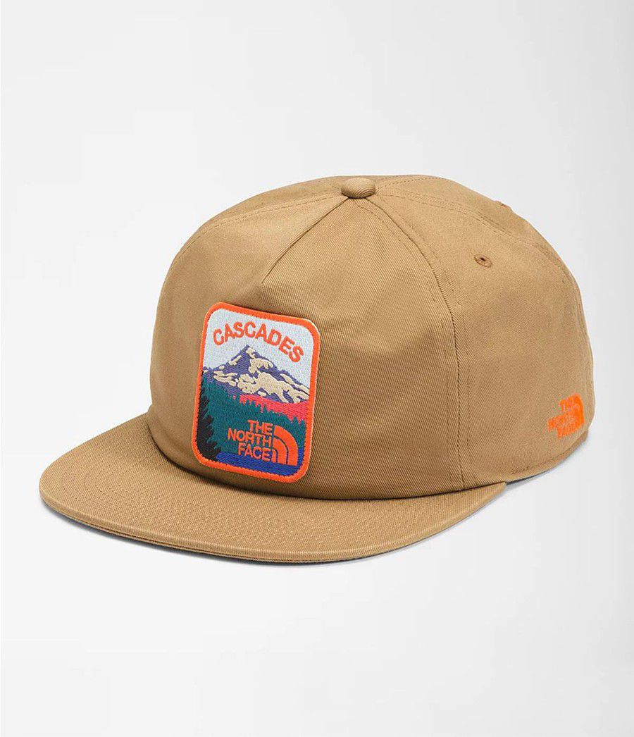 Pánské Klobouky The North Face Embroidered Earthscape Ball Cap Hnědé | NURMSWQ-95