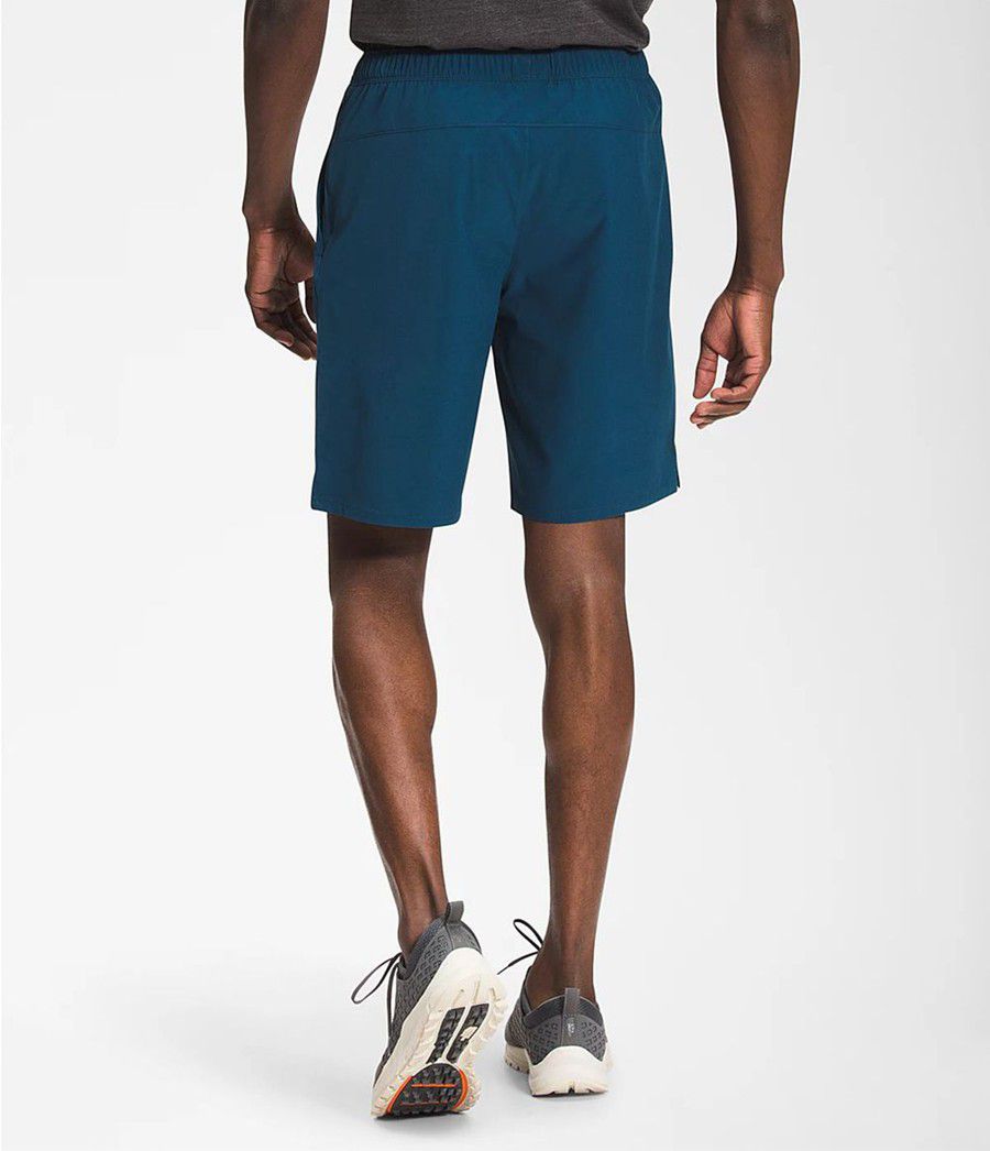 Pánské Kraťasy The North Face Wander 9