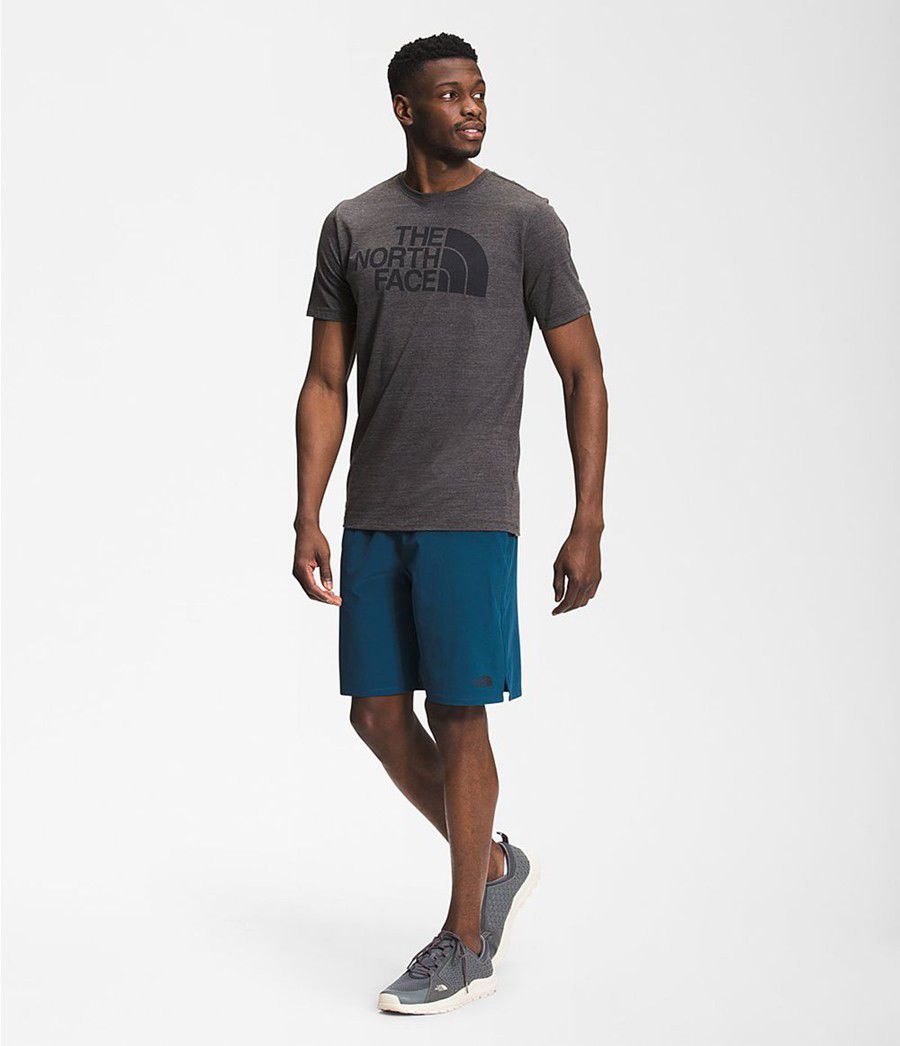 Pánské Kraťasy The North Face Wander 9