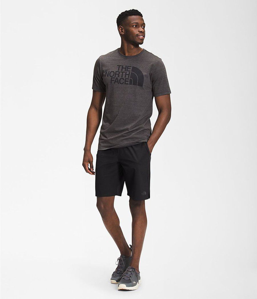 Pánské Kraťasy The North Face Wander 9