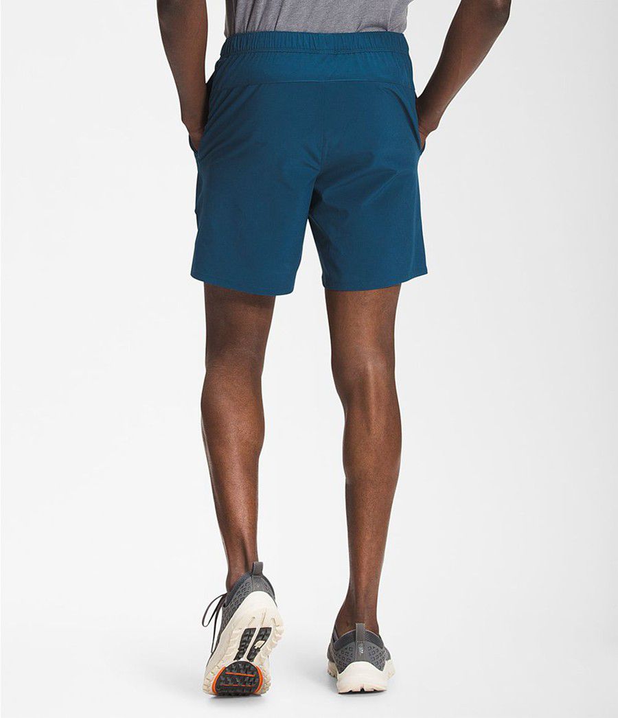 Pánské Kraťasy The North Face Wander Blankyt | QAJWBMH-29