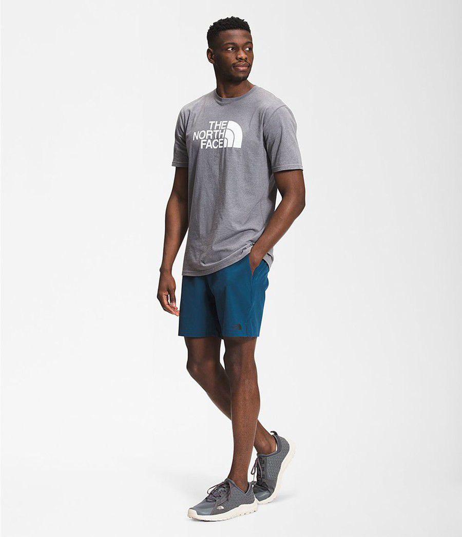 Pánské Kraťasy The North Face Wander Blankyt | QAJWBMH-29