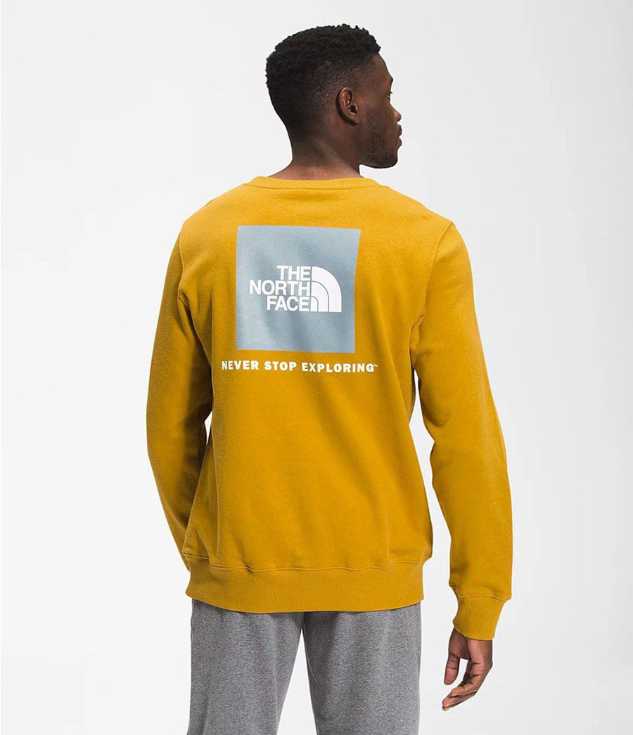 Pánské Mikiny The North Face Box Nse Crew Žluté | ZJXLRGK-79