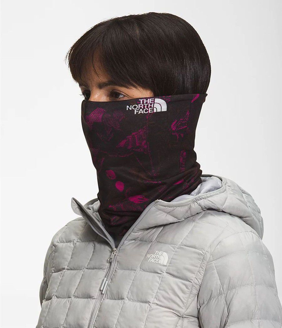 Pánské Nákrčník The North Face Dipsea Cover It Růžové | ZYJCVGX-29