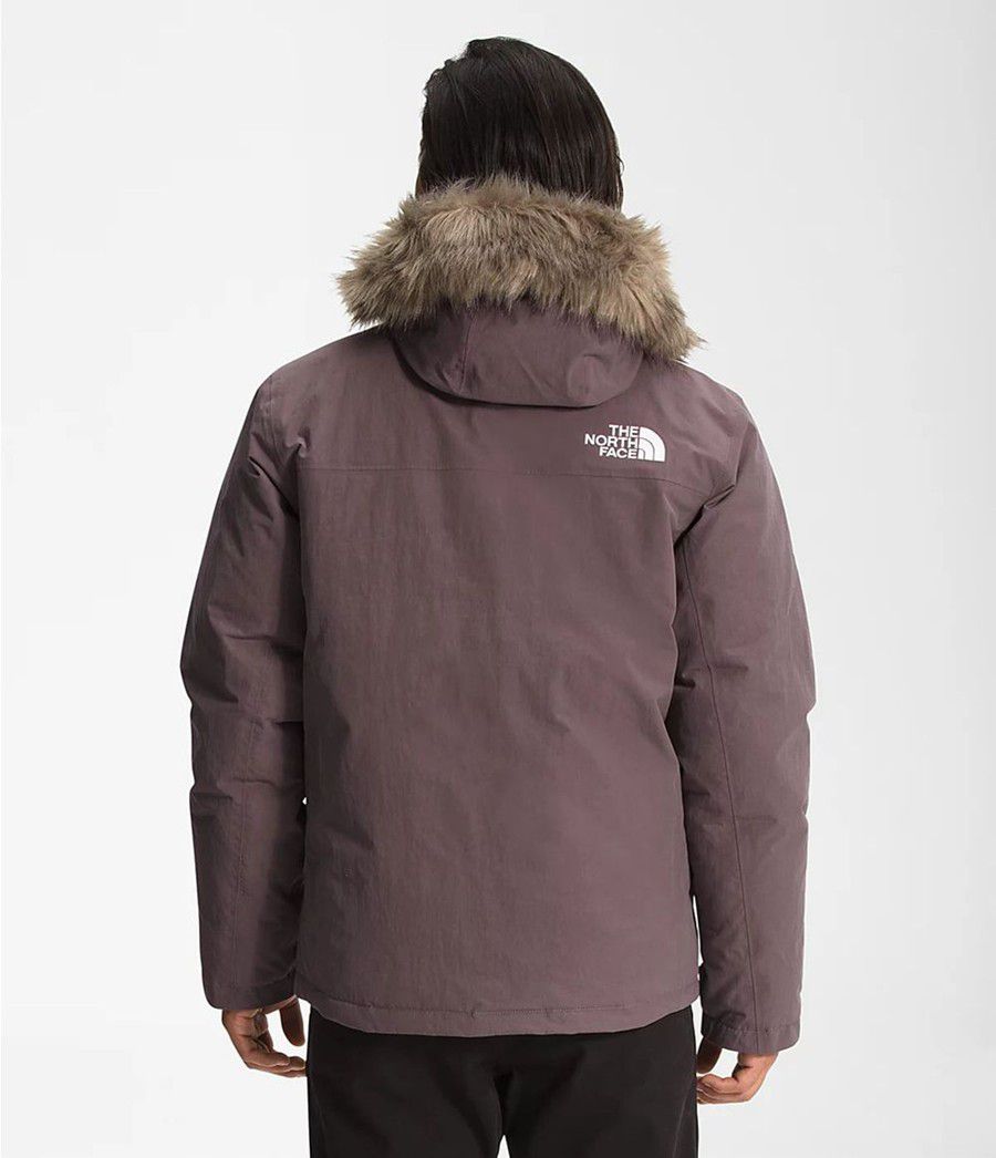 Pánské Parkas The North Face Arctic Fialové | BAEKPSF-25