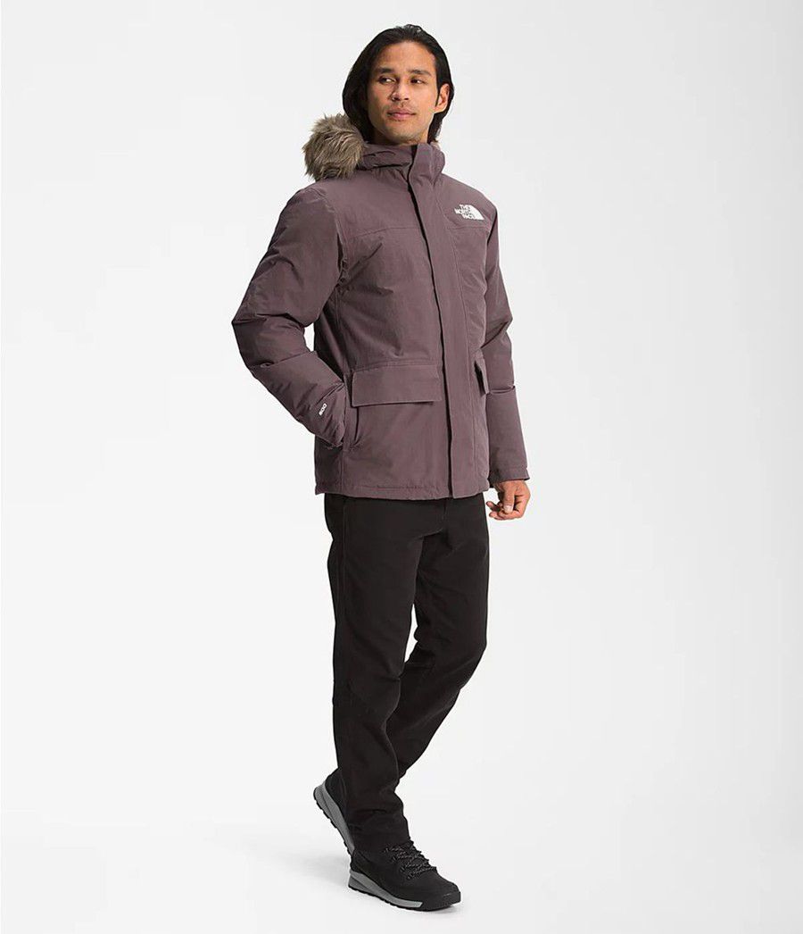 Pánské Parkas The North Face Arctic Fialové | BAEKPSF-25