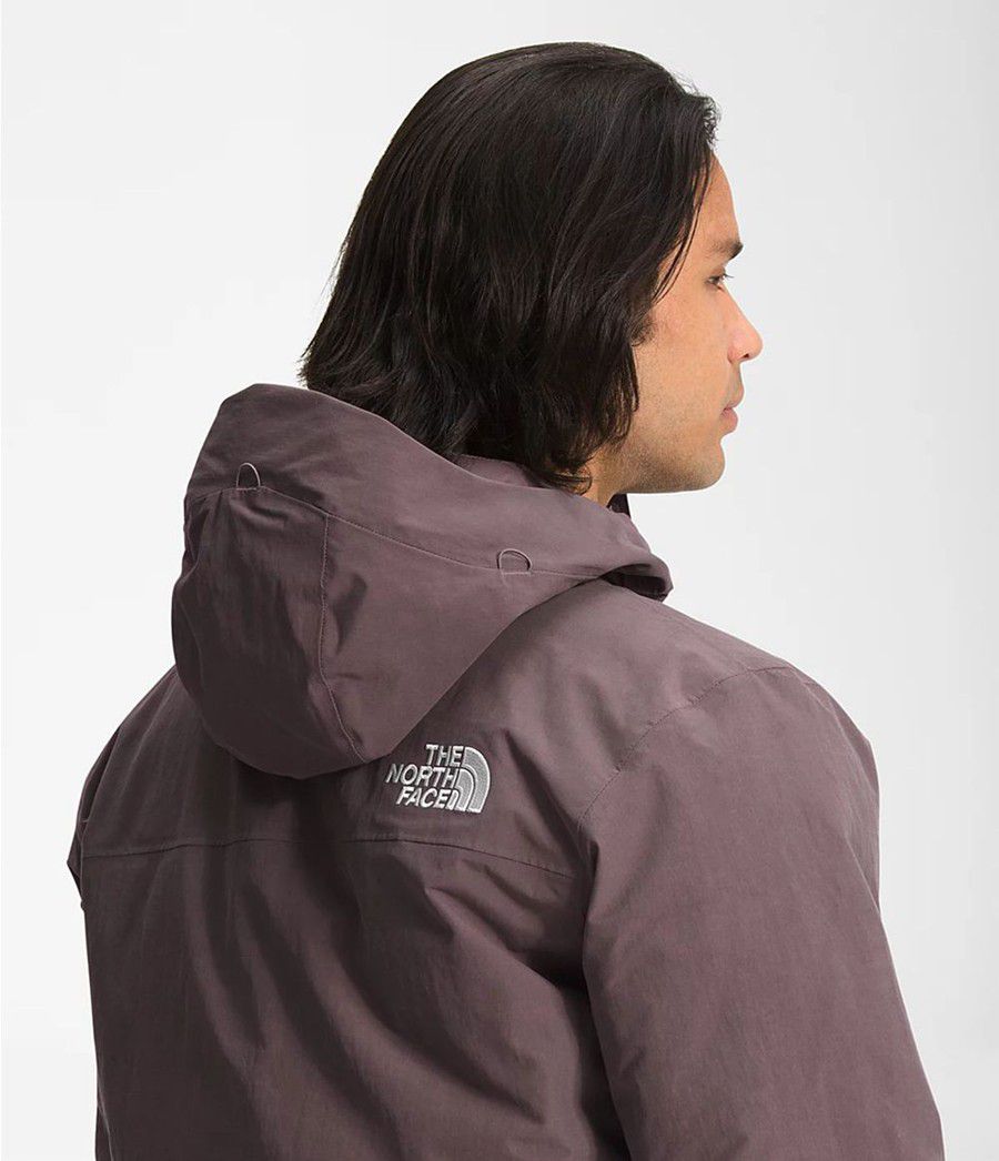 Pánské Parkas The North Face Arctic Fialové | BAEKPSF-25
