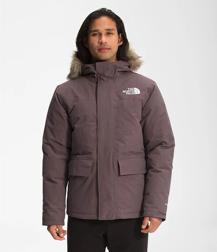 Pánské Parkas The North Face Arctic Fialové | BAEKPSF-25