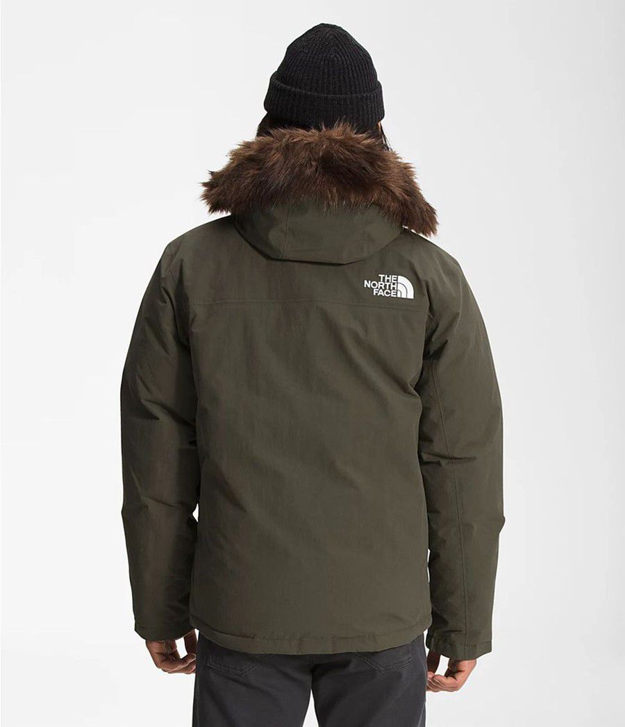 Pánské Parkas The North Face Arctic Olivy Zelené | KLEMRNG-14