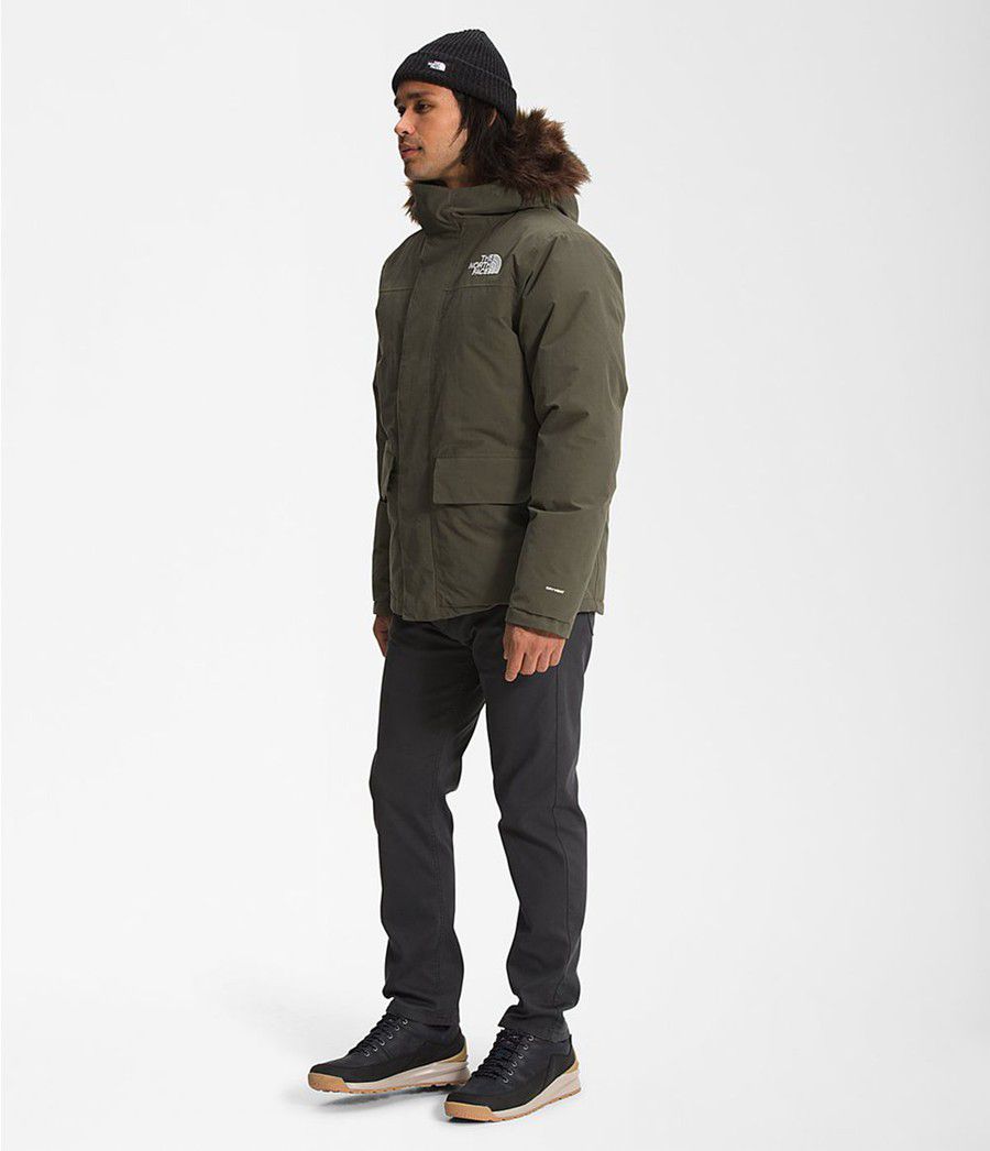 Pánské Parkas The North Face Arctic Olivy Zelené | KLEMRNG-14