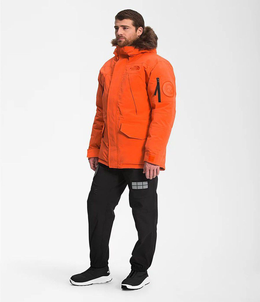 Pánské Parkas The North Face Expedition Mcmurdo Oranžové | GSFRWIE-64