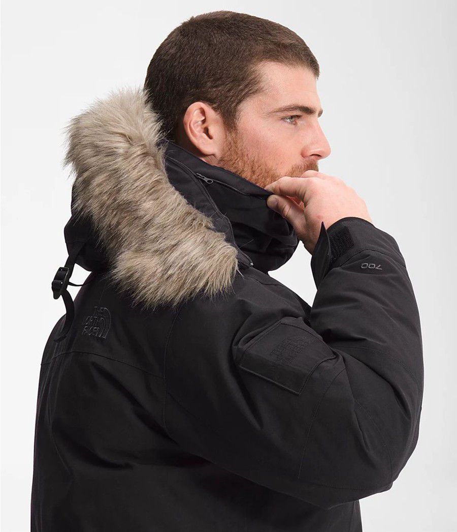 Pánské Parkas The North Face Expedition Mcmurdo Černé | QOYKDEL-76