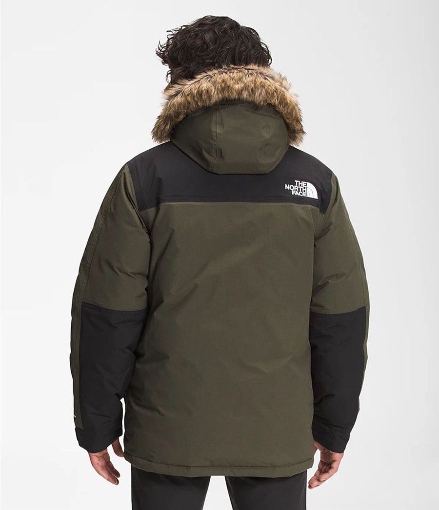 Pánské Parkas The North Face Mcmurdo Olivy Zelené | YFQSCZK-94