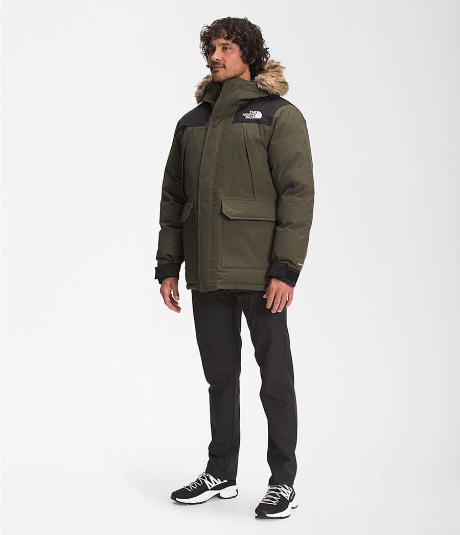 Pánské Parkas The North Face Mcmurdo Olivy Zelené | YFQSCZK-94