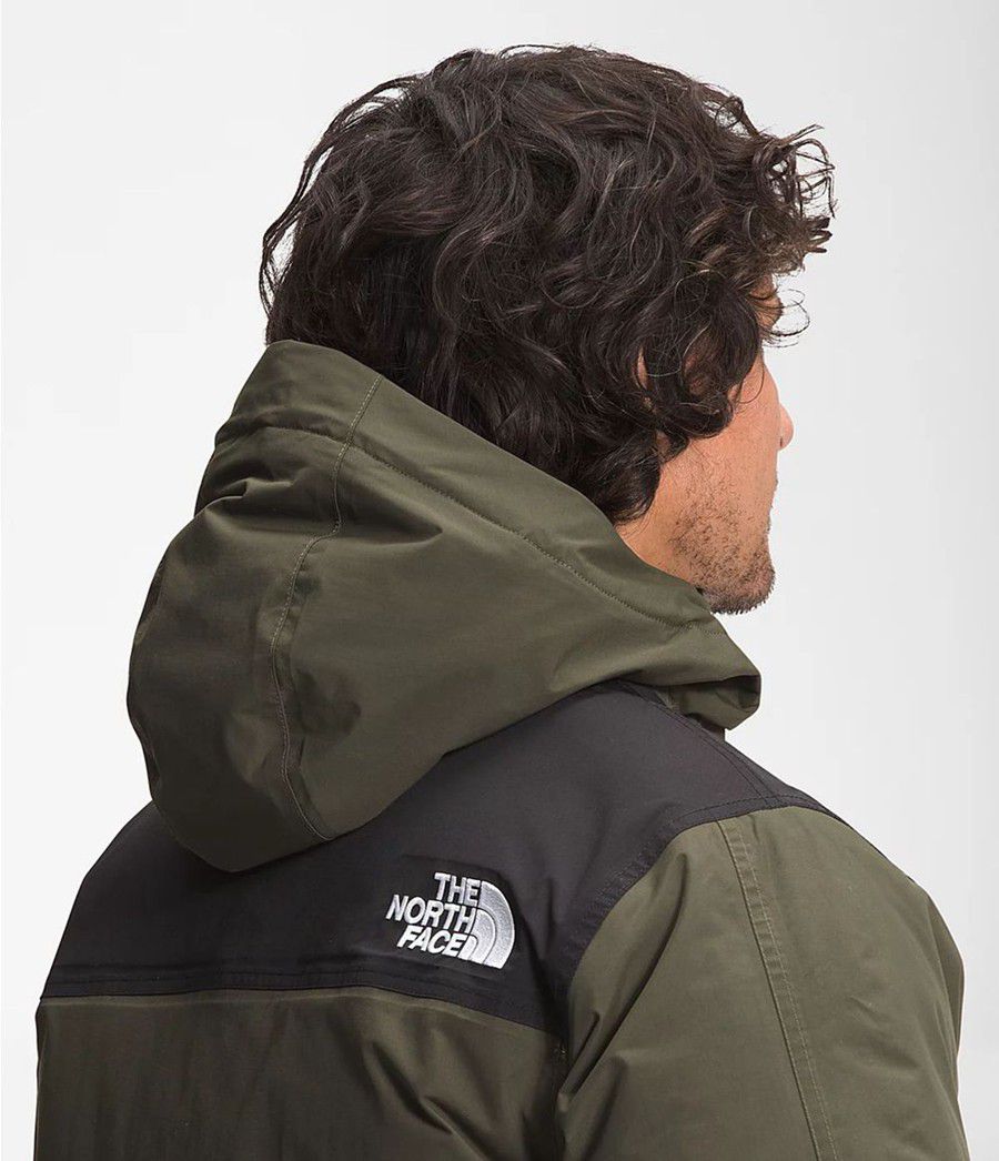 Pánské Parkas The North Face Mcmurdo Olivy Zelené | YFQSCZK-94