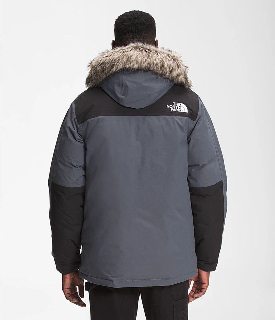 Pánské Parkas The North Face Mcmurdo Šedé | FDHZCRU-13