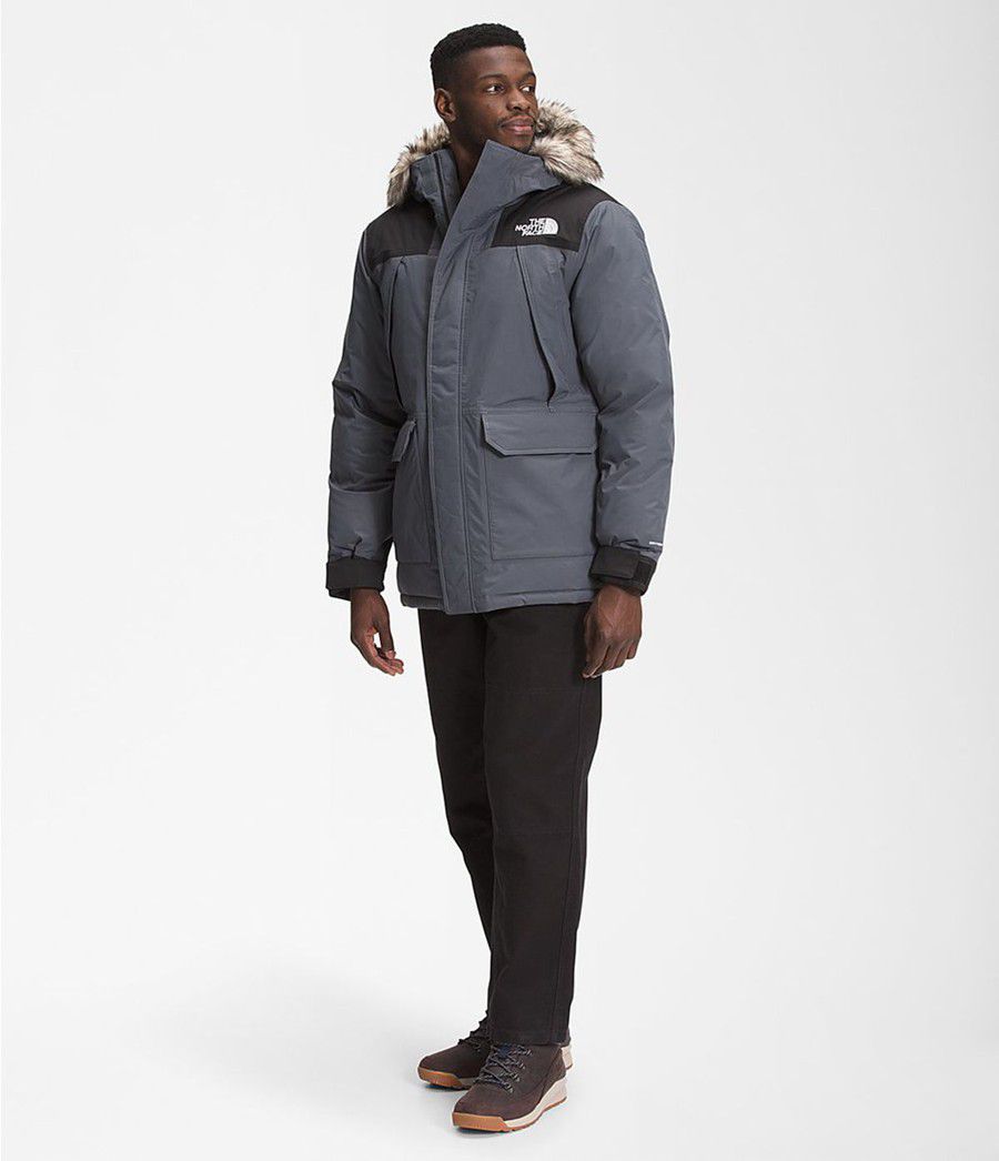 Pánské Parkas The North Face Mcmurdo Šedé | FDHZCRU-13