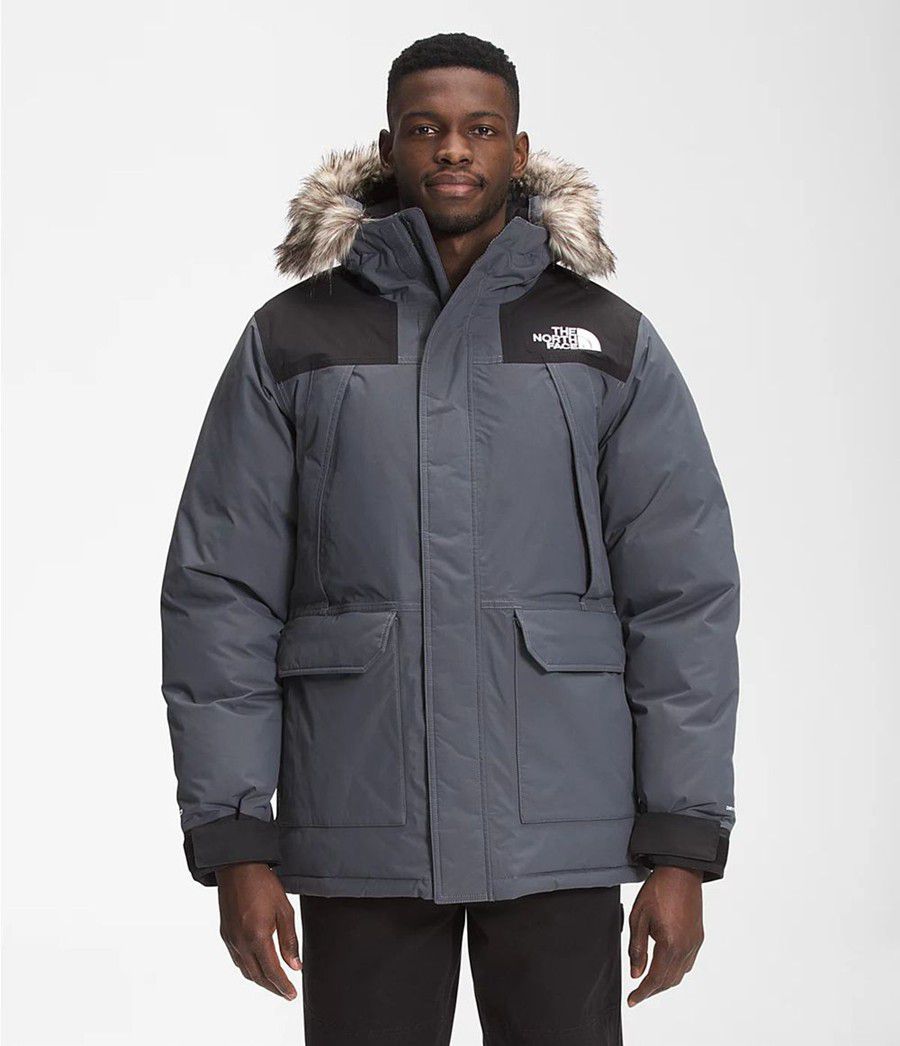 Pánské Parkas The North Face Mcmurdo Šedé | FDHZCRU-13