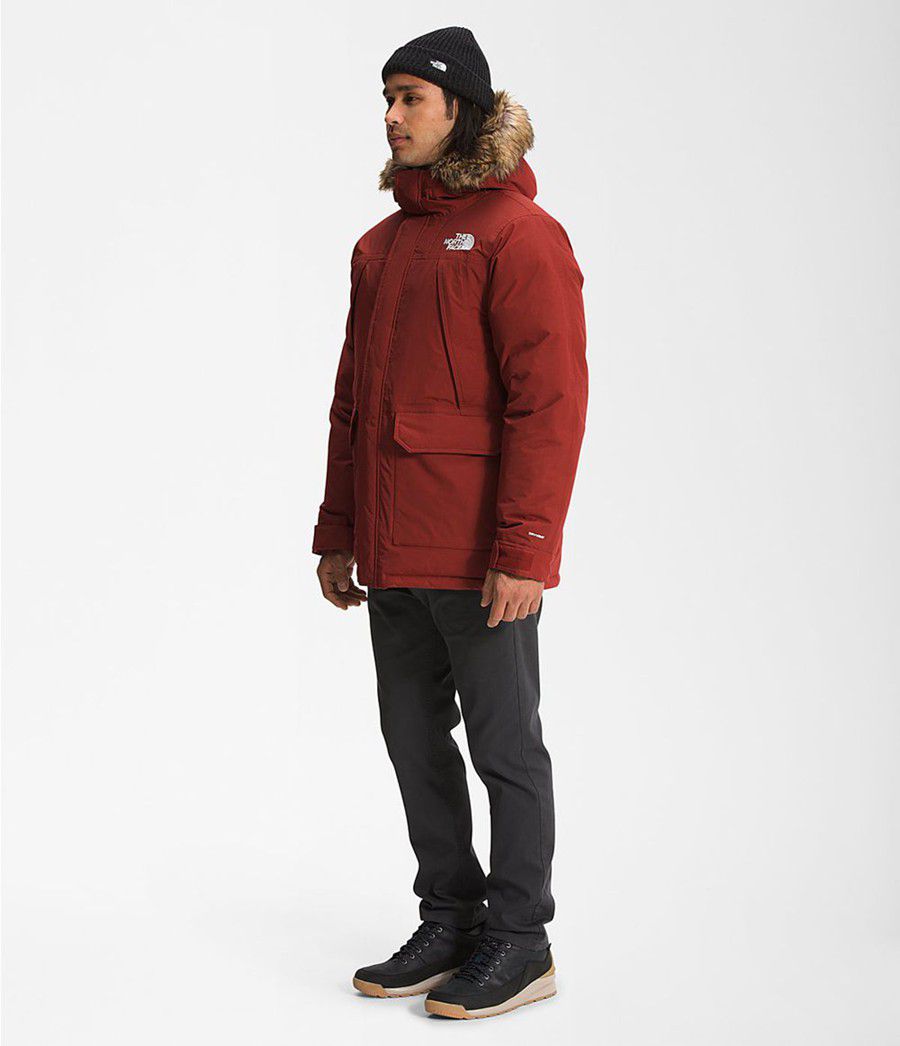 Pánské Parkas The North Face Mcmurdo Červené | JHUMSDO-96
