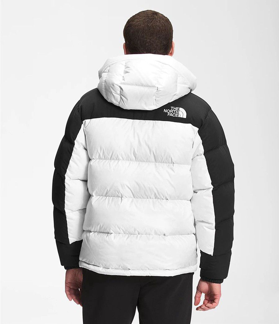 Pánské Péřové Bundy The North Face Hmlyn Bílé | QYVPFSI-71