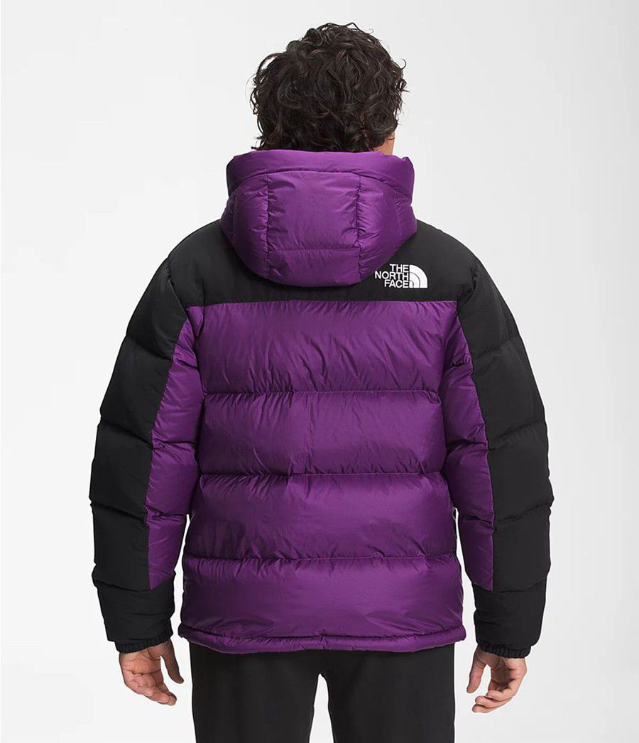 Pánské Péřové Bundy The North Face Hmlyn Fialové | EDWFPYM-87