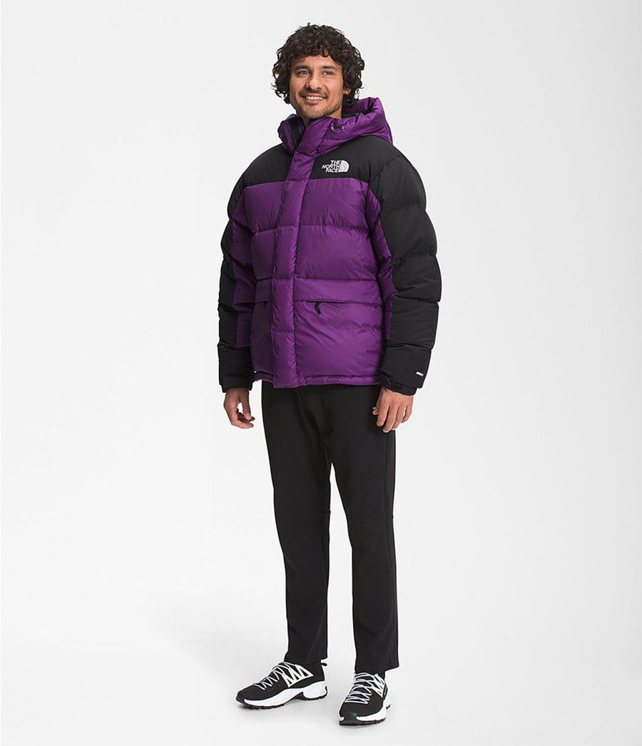 Pánské Péřové Bundy The North Face Hmlyn Fialové | EDWFPYM-87