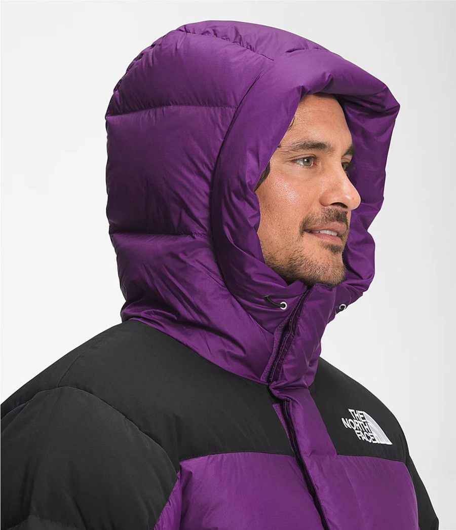 Pánské Péřové Bundy The North Face Hmlyn Fialové | EDWFPYM-87