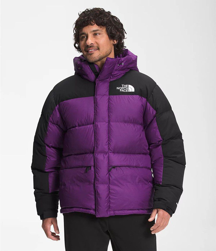 Pánské Péřové Bundy The North Face Hmlyn Fialové | EDWFPYM-87