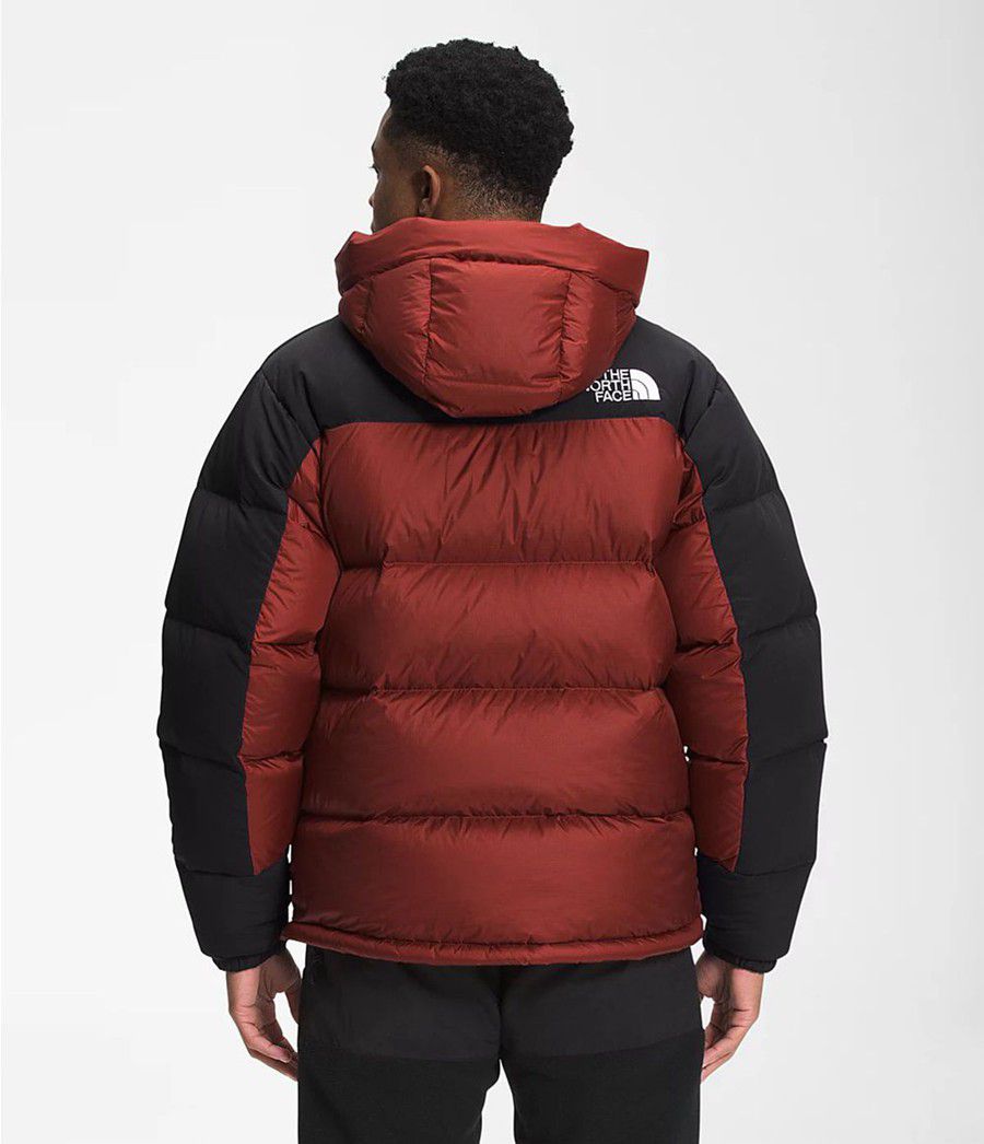 Pánské Péřové Bundy The North Face Hmlyn Červené | PUNCLMJ-23