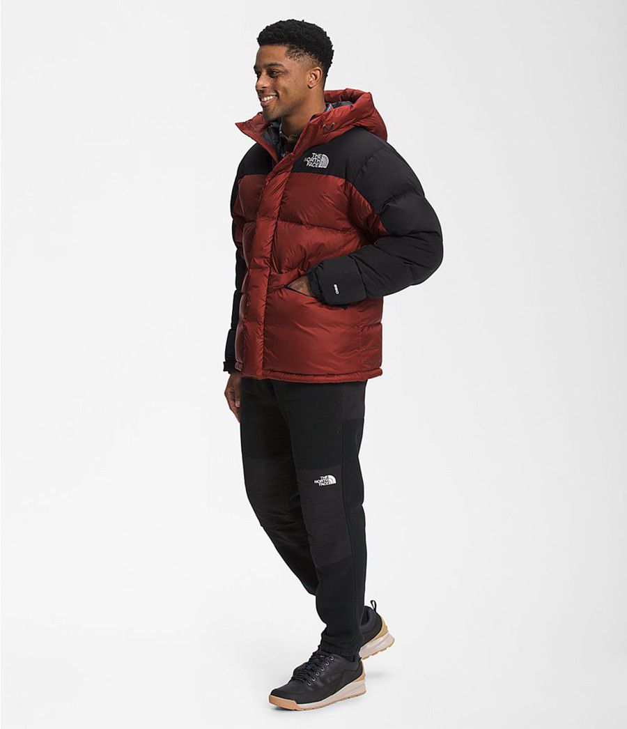 Pánské Péřové Bundy The North Face Hmlyn Červené | PUNCLMJ-23