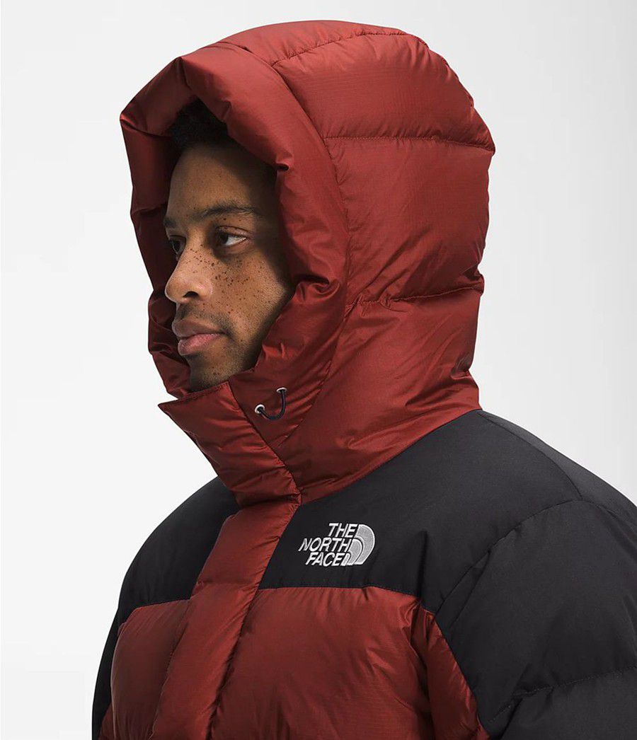 Pánské Péřové Bundy The North Face Hmlyn Červené | PUNCLMJ-23