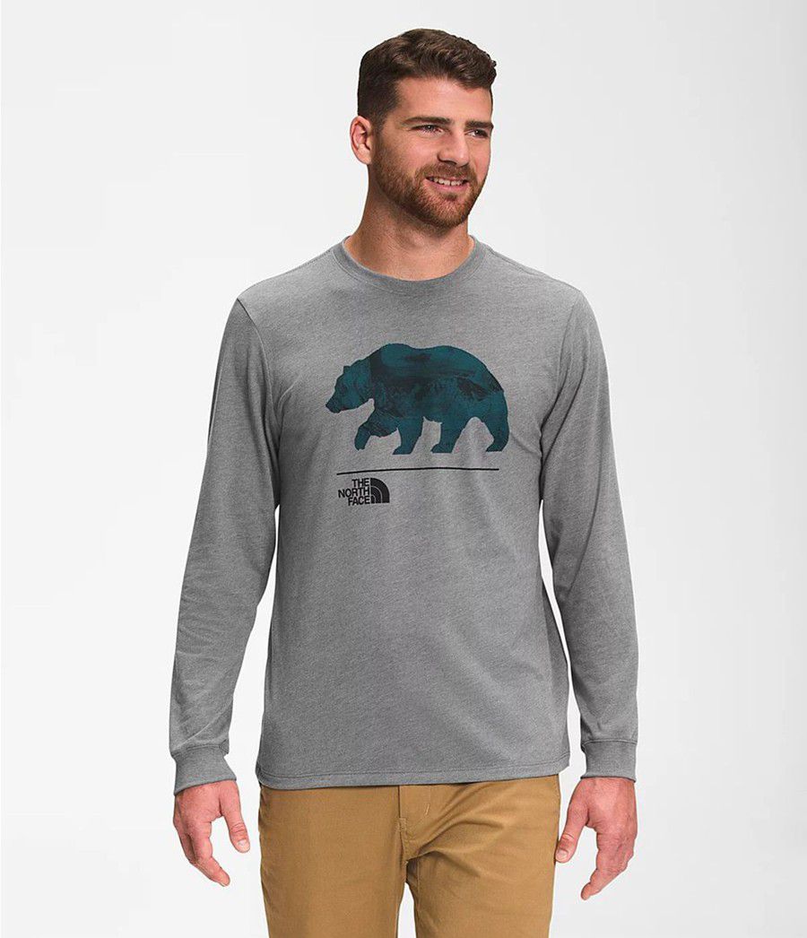 Pánské T-Shirts The North Face Bearscape Long Sleeve Šedé | PZNWJFQ-10