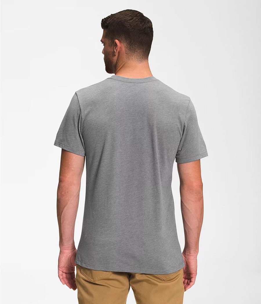 Pánské T-Shirts The North Face Bearscape Short Sleeve Šedé | UYQDGOH-86