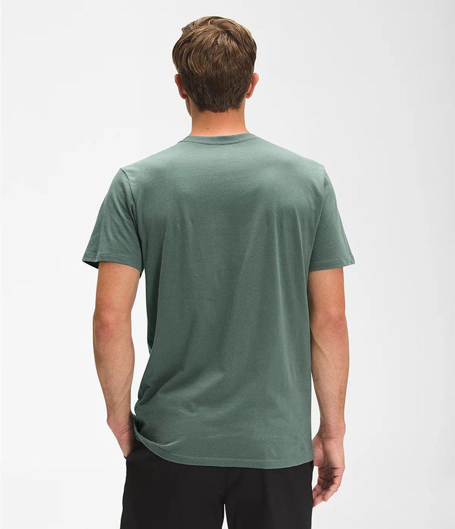 Pánské T-Shirts The North Face Bearscape Short Sleeve Zelene | UGHEFOI-06