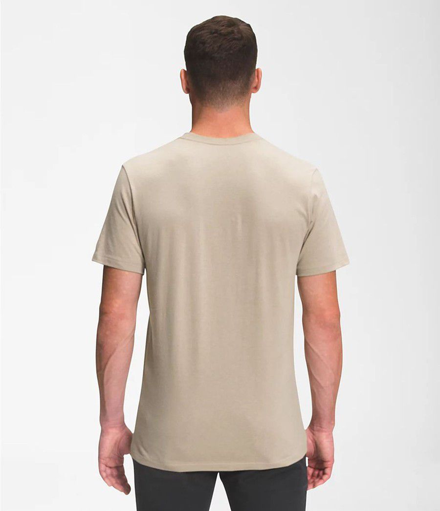 Pánské T-Shirts The North Face Bearscape Short Sleeve Béžový | MRELZJI-73