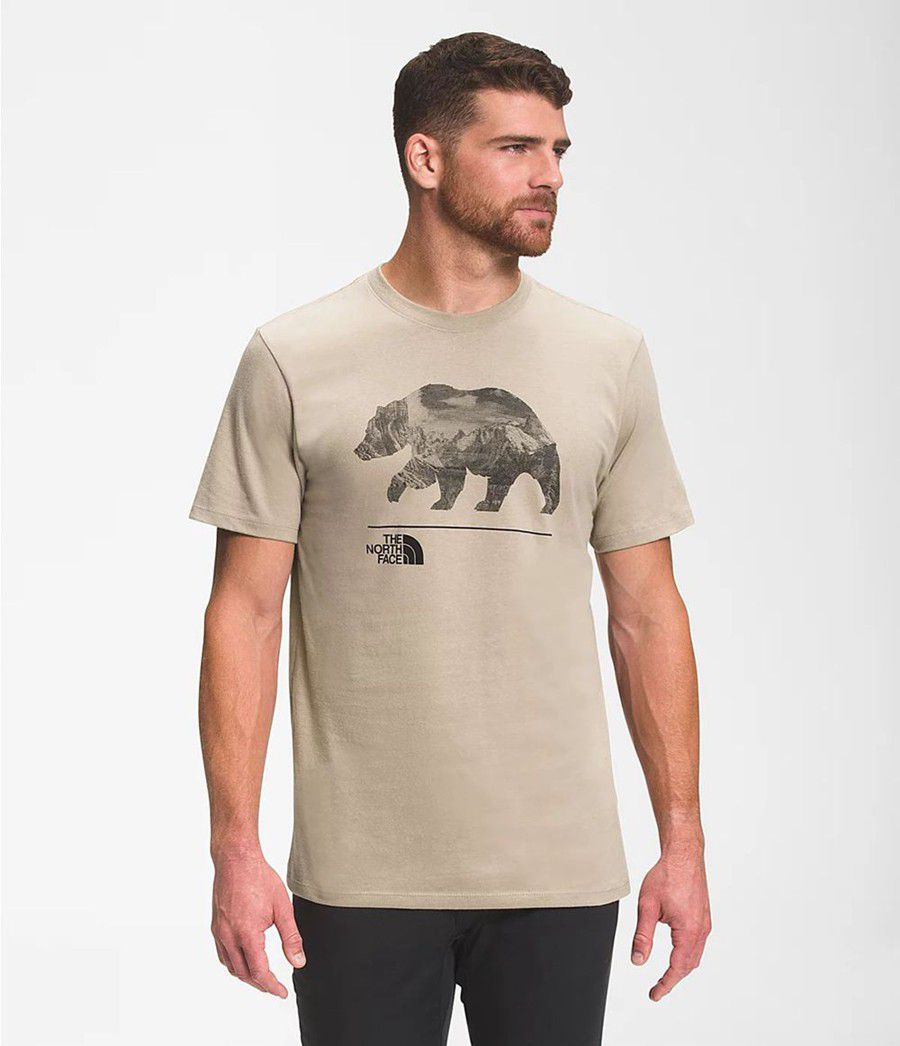 Pánské T-Shirts The North Face Bearscape Short Sleeve Béžový | MRELZJI-73