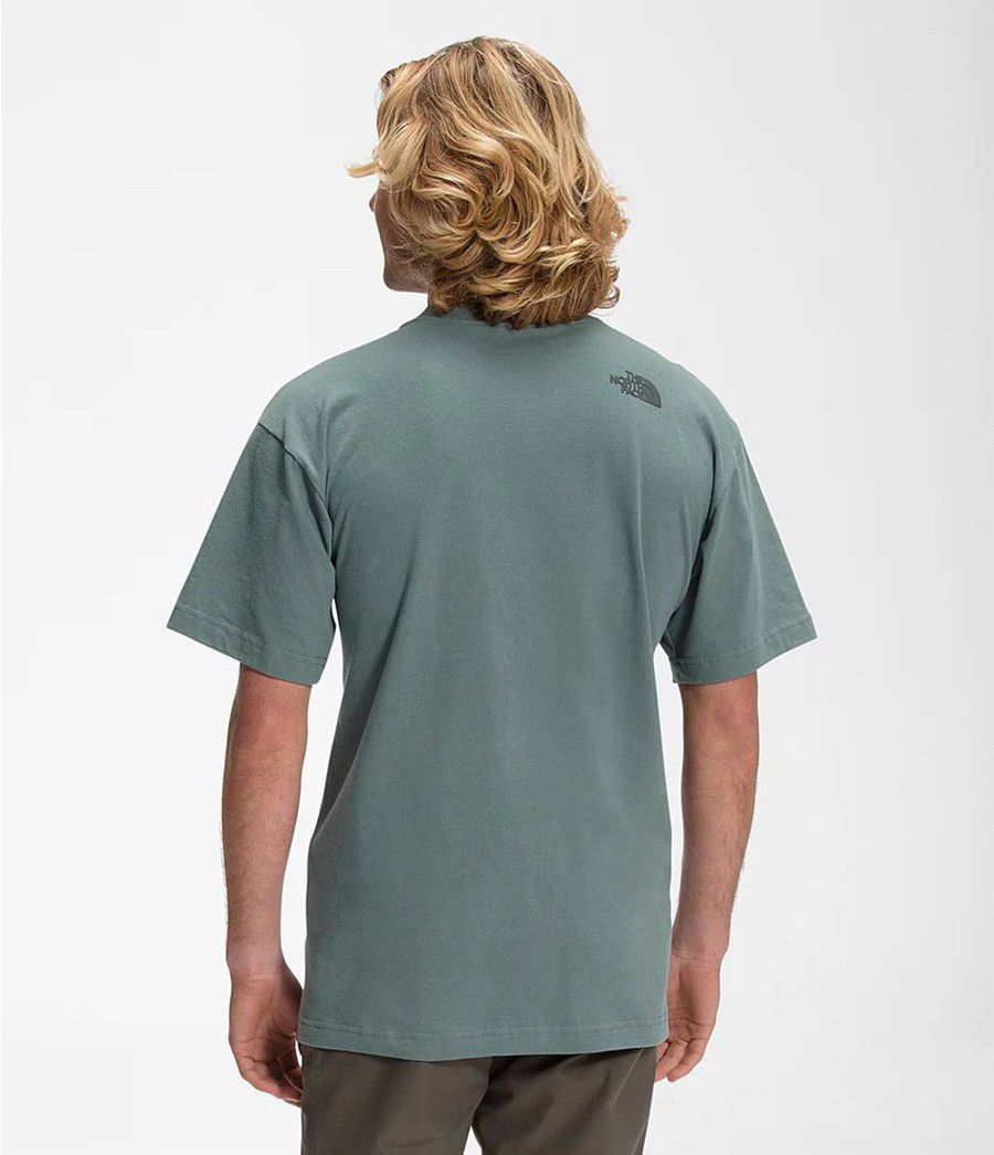Pánské T-Shirts The North Face Coordinates Short Sleeve Zelene | SZETDVA-96
