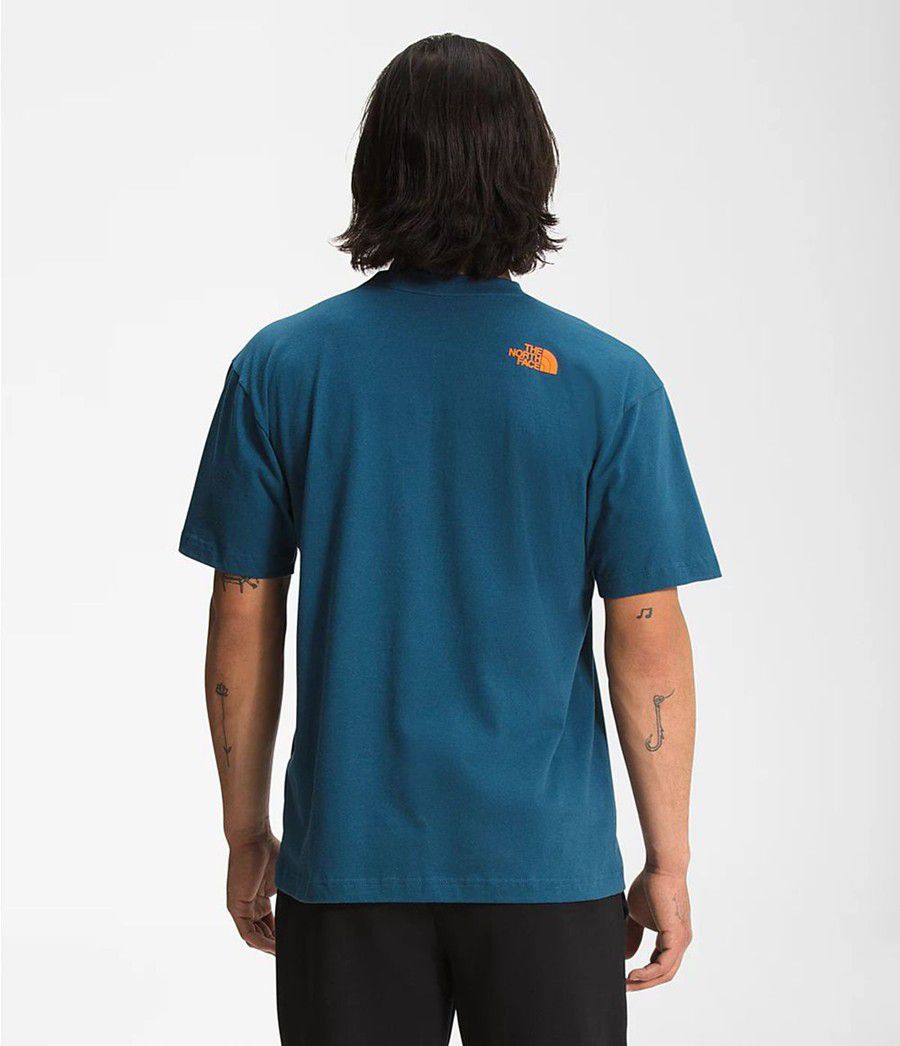 Pánské T-Shirts The North Face Coordinates Short Sleeve Blankyt | JSTHQRP-04