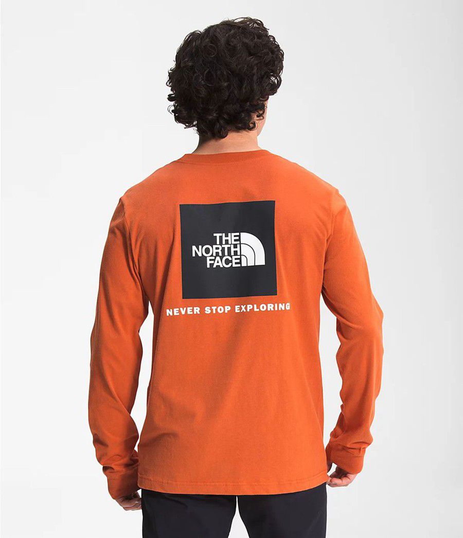 Pánské T-Shirts The North Face Long Sleeve Box Nse Oranžové | UJDIQBV-19