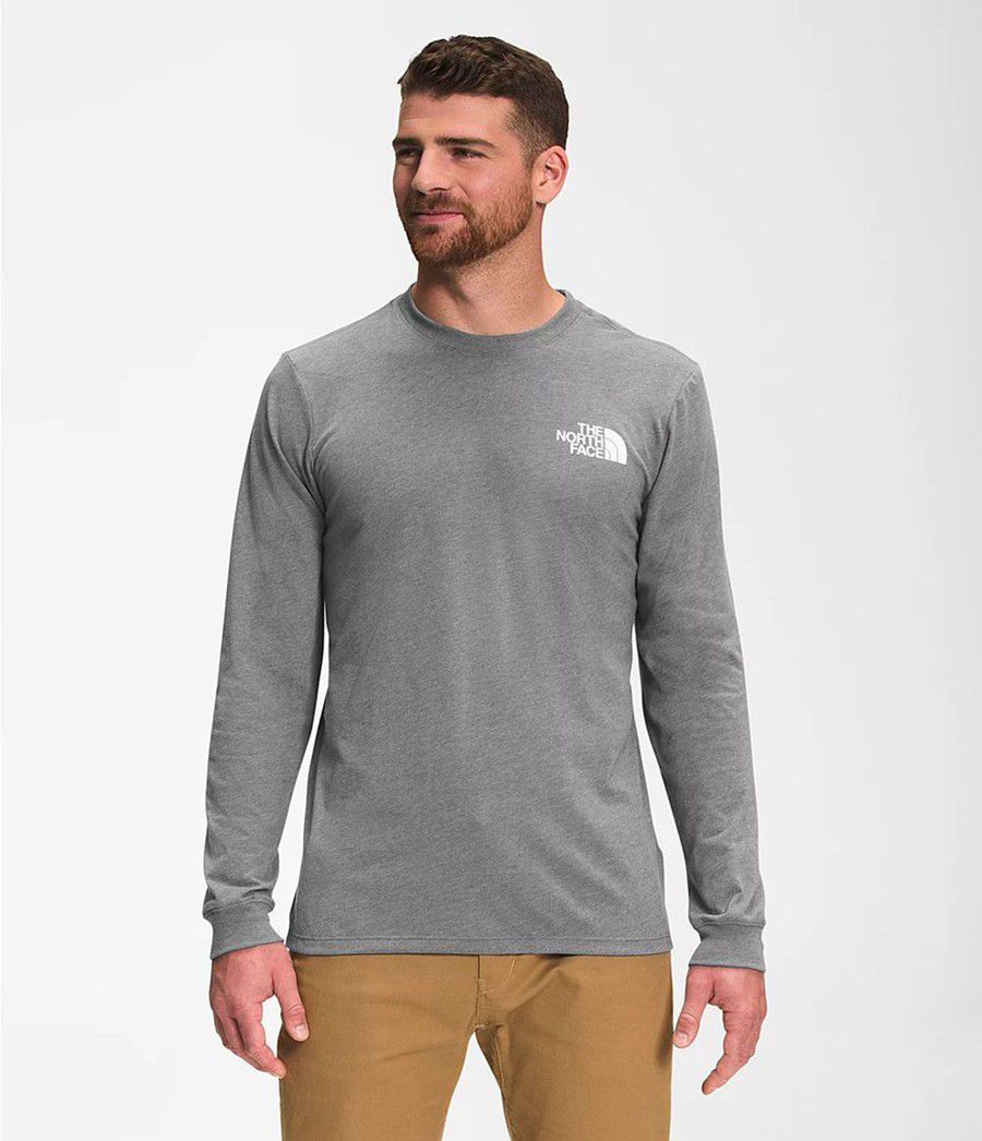 Pánské T-Shirts The North Face Mountain Scene Long Sleeve Šedé | PYAISUG-80