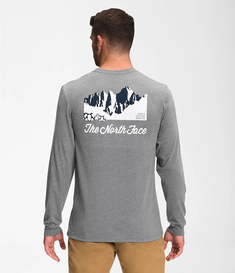 Pánské T-Shirts The North Face Mountain Scene Long Sleeve Šedé | PYAISUG-80