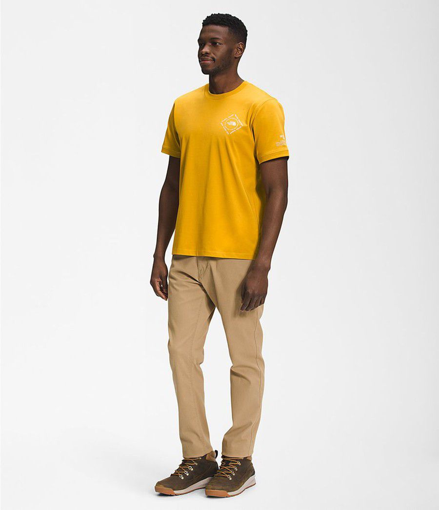Pánské T-Shirts The North Face Short Sleeve Himalayan Bottle Source Žluté | CEGSXVM-92