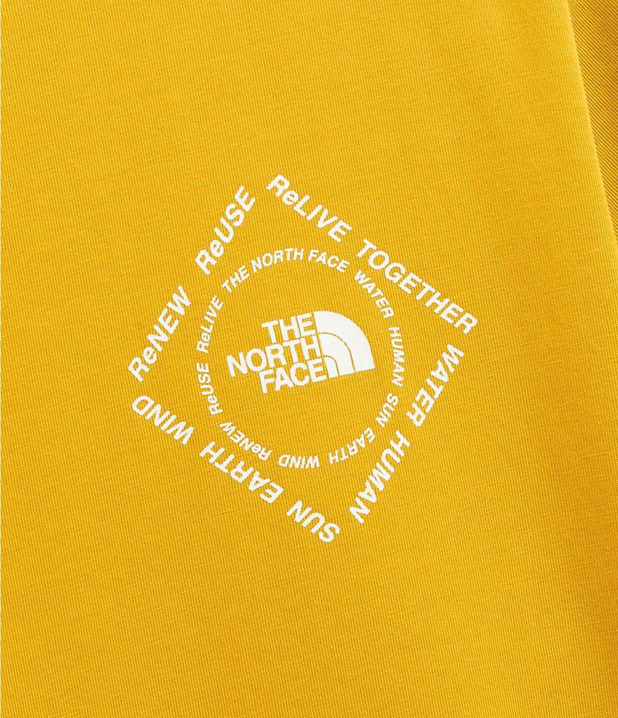 Pánské T-Shirts The North Face Short Sleeve Himalayan Bottle Source Žluté | CEGSXVM-92