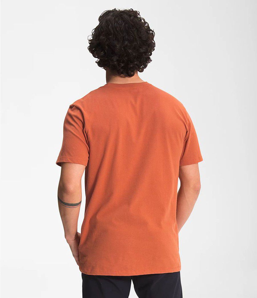 Pánské T-Shirts The North Face Short Sleeve Half Dome Oranžové | PSBTYOV-53